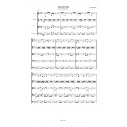 ELEVATION score: violon...