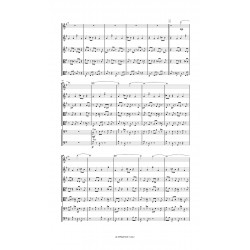 ALTERNATION - partition: 4 violons 2 altos 2 violoncelles 1 contrebasse