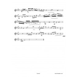 CANON A TROIS partition: 2 violons 1 alto